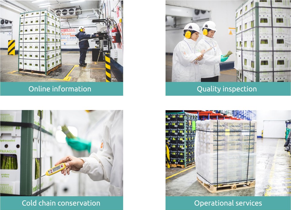 Frío Aéreo offers a range of services and products for perishable exportations fulfilling international standards of quality and safety that markets demand.