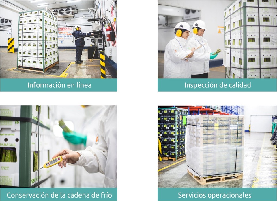 Frío Aéreo ofrece una gama de servicios y productos para la exportación de perecibles cumpliendo con los estándares internacionales de calidad e inocuidad que los mercados exigen. 