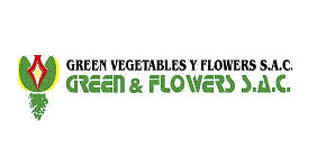 GREEN VEGETABLE FLOWERS