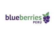 BLUEBERRIES PERU