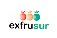 EXFRUSUR